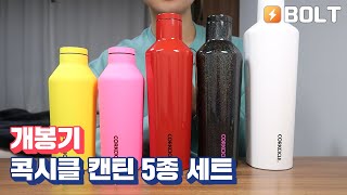 [개봉기] 콕시클 캔틴 5종 세트:너무 예뻐서 충동구매..(저 테크 유튜버 맞습니다)