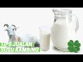 3 Trik Jualan Susu Kambing Supaya Laris Manis