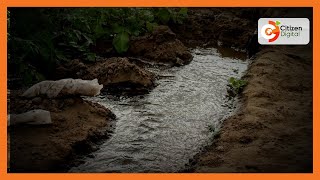 How Narok residents are taking care of the environment by rehabilitating and preserving wetlands