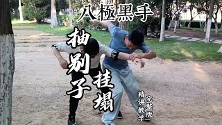 粉丝福利！无私分享纯干货内部教学—— 储兆清老师八极拳搜 “抽别子挂塌”练法、演法、用法，细节及变化精讲教学完整版 #储兆清八极拳 #功夫 #八极拳