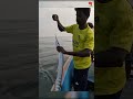 Catching Needle Fish in the Sea