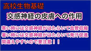 高校生物基礎「交感神経の皮膚への作用」