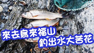 【溪釣苦花】來去烏來福山釣出水大苦花│蝦皮愛釣魚