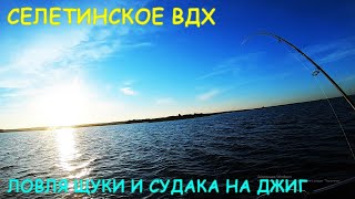 БЕШЕНЫЕ ПОКЛЕВКИ ЩУКИ С ГЛУБИНЫ - СЕЛЕТИНСКОЕ ВОДОХРАНИЛИЩЕ