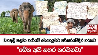 වනඅලි පලවා හැරීමේ මෙහෙයුමට පරිසරවේදීන් හරහට - \