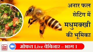 अनार फल सेटिंग में मधुमक्खी की भूमिका - भाग 1 | Honeybee Webinar Part 1 Intro