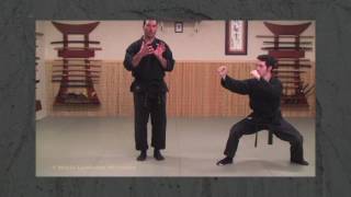 San Shin Gokui (Essence) excerpt from Ninja Training Black Belt Course