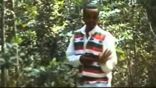 Daadhii Galaan   Yaa Ejersa (Oromo Music)