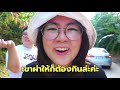 พาไปดูสวนยางหลังบ้าน เก็บผลไม้เหมือนอยู่ในฮาเวสต์มูน ก๊อจองเป็นพระเอก vlog แล้วหล่าว พี่น้องป.4