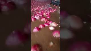 Heavy Rain effect in Onion