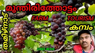 മുന്തിരി ടൂറിസം, കമ്പം, SIBUS MEDIA, FARM TOURISM