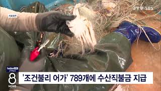 [JTV 8 뉴스] '조건불리 어가' 789개에 수산직불금 지급