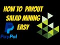 How to Get Payout from Salad AI Mining