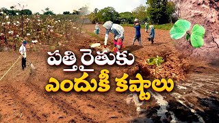 Cotton Farmers Facing Troubles from Shortage of Rainfall | Even at Start of Monsoon || Idi Sangathi