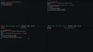 Network Programming Lab 4 Demo
