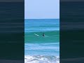 surfer’s dream wave surf surfing surfers