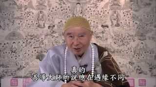 淨土大經科註 (有字幕) - 第二七一集 淨空法師主講