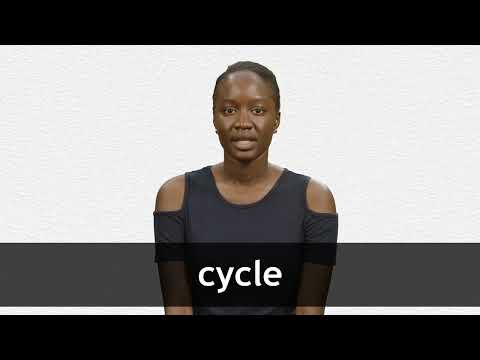 How do we write cycle in French?