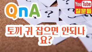 토끼 귀 잡으면 안되나요?