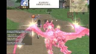 瑪奇Online 2024新版 p2.GM功能與轉生測試 (GM玩網遊) Mabinogi Online gm.命令.工具