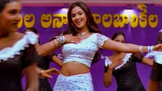 Patala Pallakivai ( Female ) Video Song | Nuvvu Vasthavani Movie | Nagarjuna, Simran | VolgaMusicbox