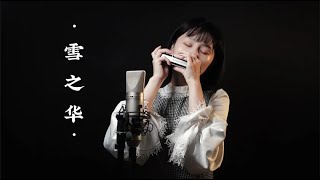 无数次翻唱的经典《雪之华》口琴演奏 《对不起，我爱你》原曲【吹口琴的小园园】