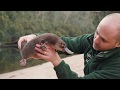 'George' the Platypus released back into the wild