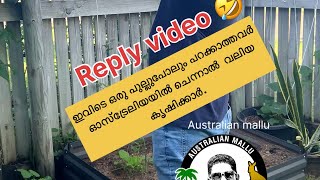 ഓസ്ട്രേലിയയിൽ ഞങ്ങൾ ഇങ്ങനെയാണ്.🥰 Australian Malayalam vlog ,Replay video😂 #dayinmylife #malayalam