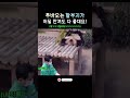 무조건 한번은 푸바오 만져주고 들어가야하는 할부지💕 shorts fubao everland panda 할부지 송바오님