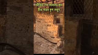 মোহাম্মদ ﷺ এর শেষ গোসলের ঐতিহাসিক স্থান 🌿: গির্জার জান্নাতি কূপ