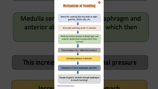 Mechanism of vomiting | Adult Health Nursing | Anatomy \u0026 Physiology | Ritu Ma'am #youtubeshorts #yt