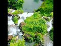 അതവനാടിന്റെ വരദാനം ayyappanove water falls my own place🥰🥰🥰🥰