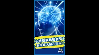 為什麼心情不好會想聽音樂？原因竟然藏在大腦裡！｜音音來說 Ep.9