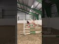 jumping lesson💥 ella and tarzan❤️ shortsvideo horsejumping horse