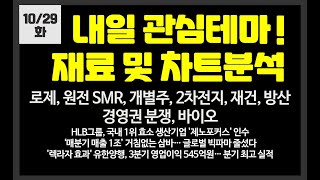 내일 관심테마! 로제,개별주,2차전지,재건,방산,반도체,SMR,바이오/ 한일단조,삼성전자,지투파워,DS단석,YGPLUS,에이직랜드,디어유,에스와이스틸텍,비에이치아이,에코프로비엠,