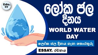 ලෝක ජල දිනය 2024 | ලෝක ජල දිනය රචනා | ලෝක ජල දිනය ගැන තොරතුරු | World Water Day | loka jala dinam