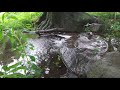 明治神宮　宝物殿広場の小川　observing a stream in meiji jingu shrine 4k