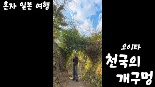 일본 여행 ✈ 오이타(OITA)  / 천국의 개구멍 / JR 큐슈 레일 패스 / 기차여행 🚄