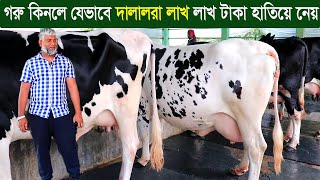 গাভী এবং ষাড় কিনবেন হাসান ভাইয়ের পরামর্শ শুনুন লাখ লাখ টাকার প্রতারনা থেকে বাচুন design agro park