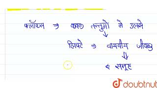 वाहित मल (सीवेज) के जैविक उपचार में फ्लॉक्स का क्या महत्व है ? | 12 | जनकल्याण में सूक्ष्मजीव | ...