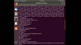 Lab 5 Shell Programming