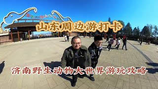 济南野生动物世界游玩攻略，三种方式我更喜欢小火车！