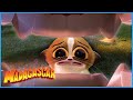 Mort's Madness | DreamWorks Madagascar