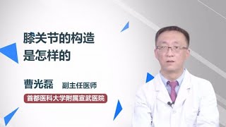 膝关节的构造是怎样的 曹光磊 首都医科大学附属宣武医院