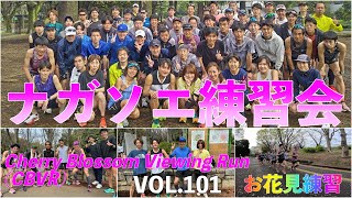 VOL.101【ナガソエ練習会】2024/4/7(日)★さくら満開、お花見練習会。