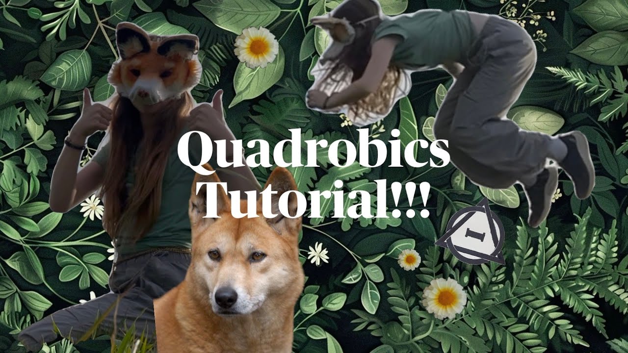 Quadrobics Tutorial Learn To Walk On All 4s With Blink Youtube
