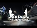 The Crosswalk - Amazing Guide Dogs for the Blind