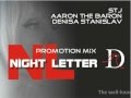 STJ & Aaron The Baron feat. Denisa Stanislav - Night Letter (Promotion Mix)