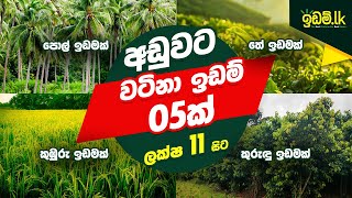 Coconut land | Agriculture land | Land for sale in sri lanka | House for sale