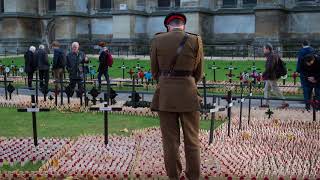 Remembrance Reflection